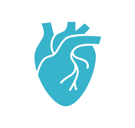 Cardiovascular Surgery