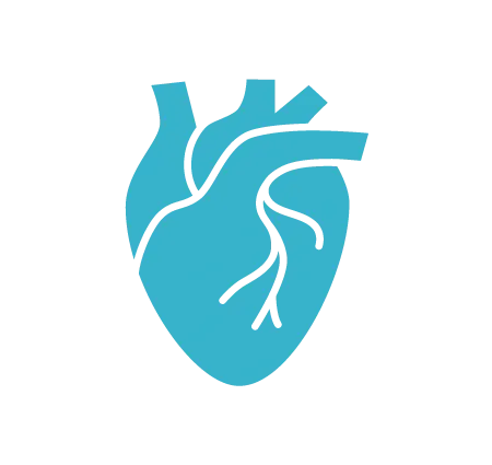 Cardiovascular Surgery