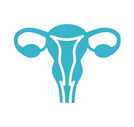 Gynaecological Disorders